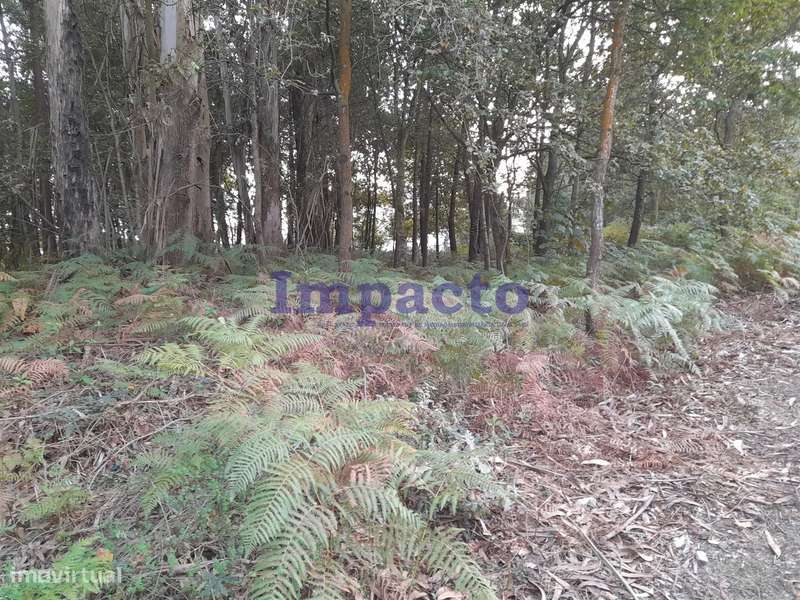 Terreno em Madail, Oliveira de Azeméis - Grande imagem: 3/8