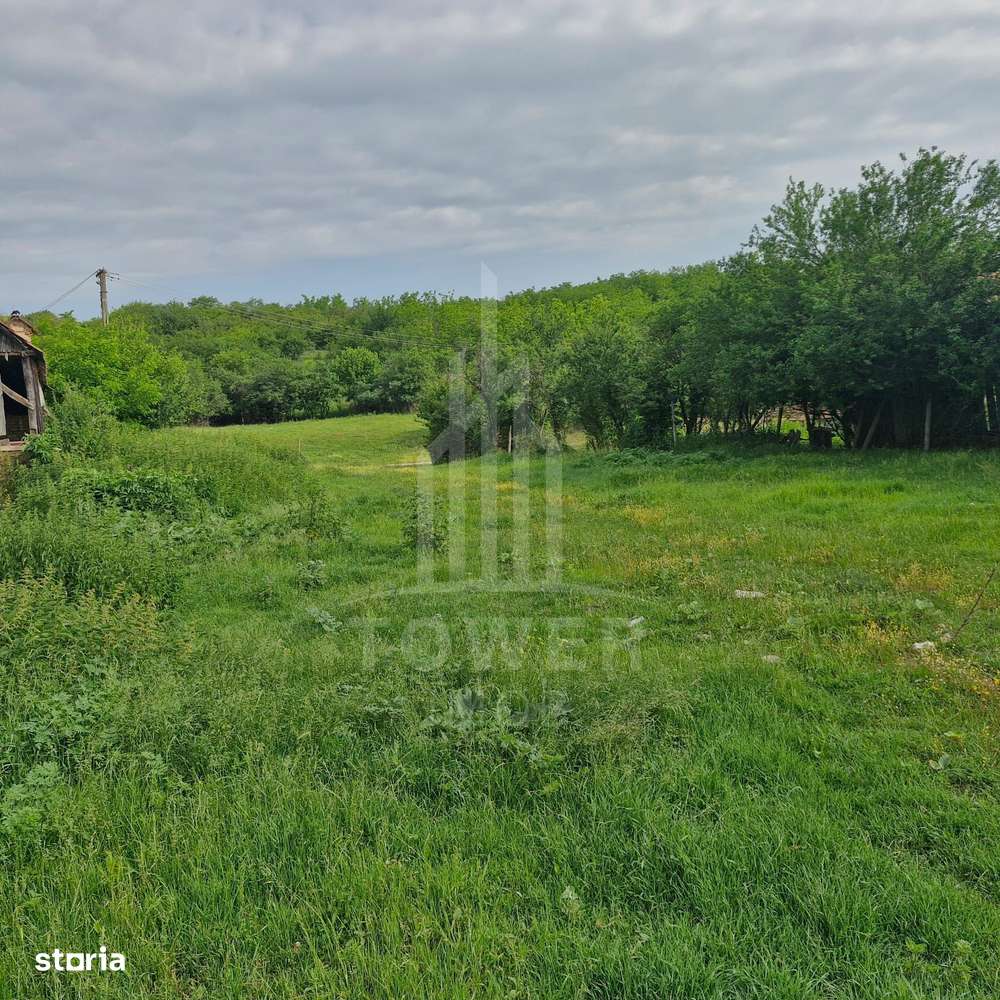 De vânzare Teren versatil 3.919 mp  in localitatea Armeni. Sibiu - Imagine principală: 5/14
