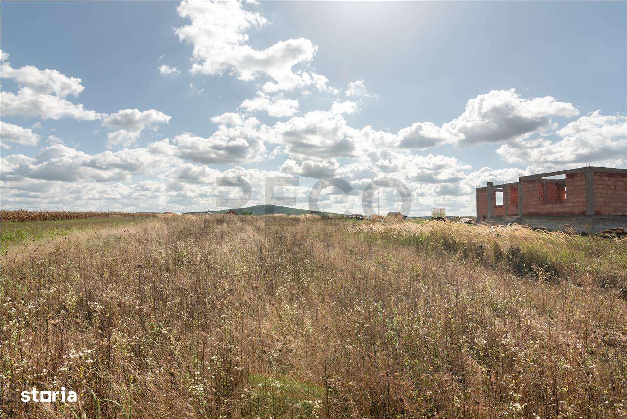 Teren intravilan in Rontau - Imagine principală: 5/7