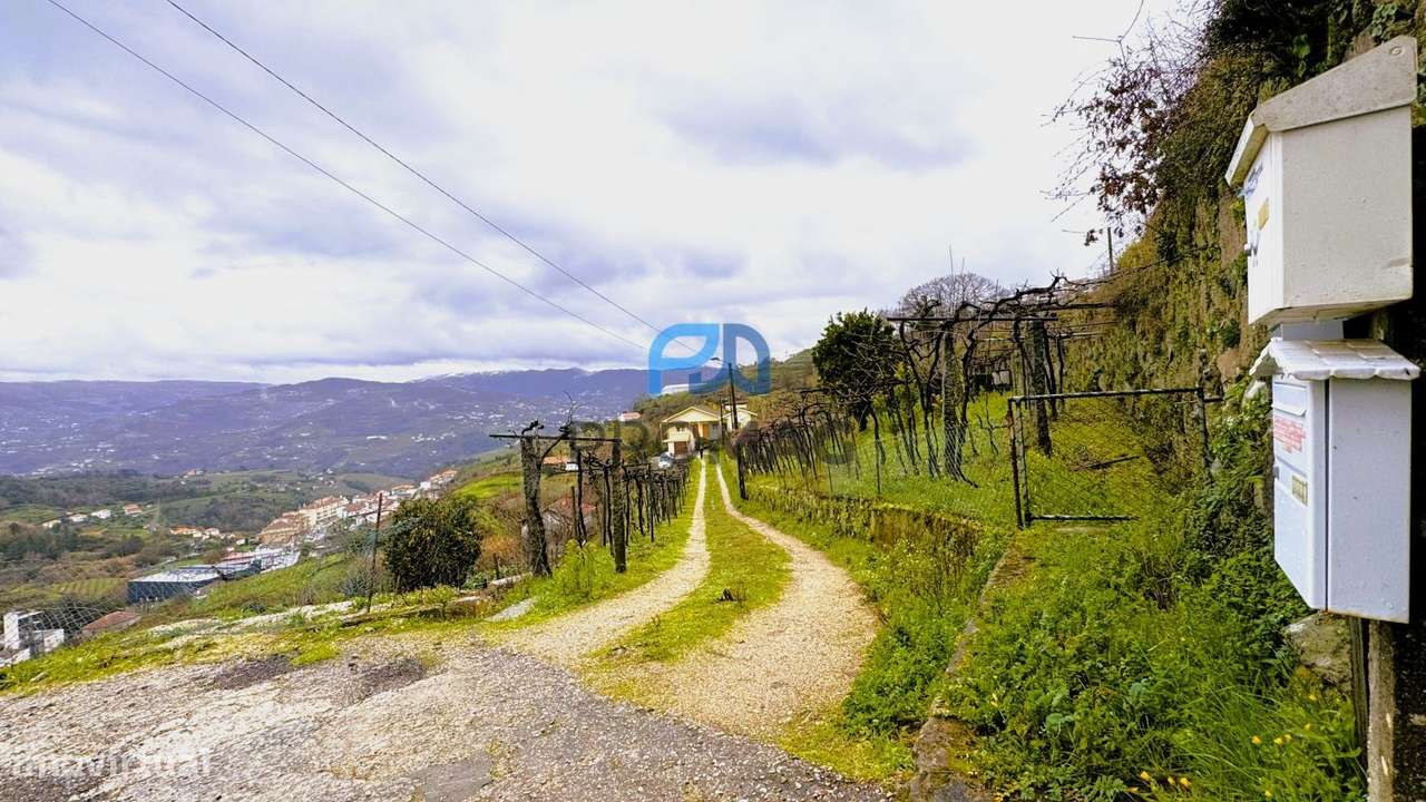 Quinta T4 no Coração do Douro – Santa Marinha do Zêzere, Baião - Grande imagem: 4/60