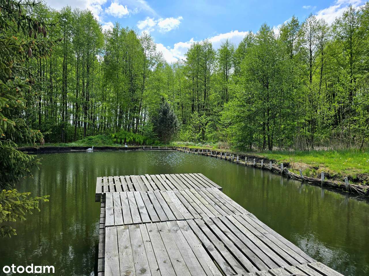 Klimatyczny dom na malowniczo zagospodarowanej działce | staw | las-7