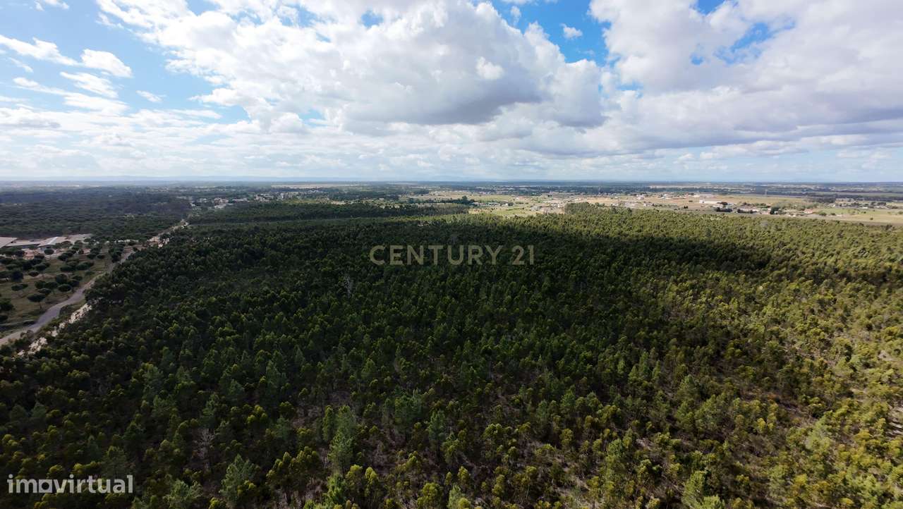 Magnifica Herdade Turística   em Santo Estêvão, Benavente-9
