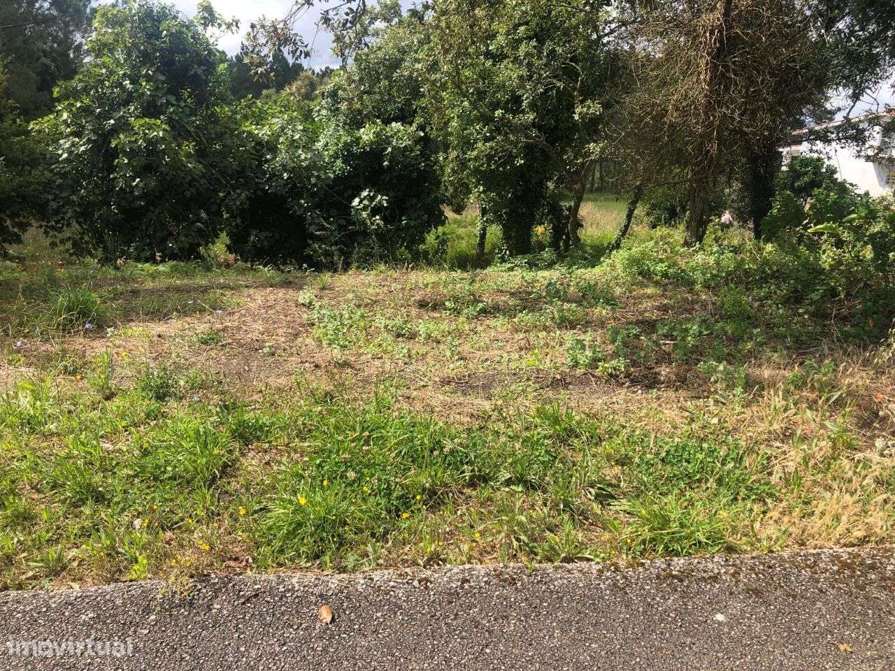 Terreno urbanizável em Ferraria de Pataias-8