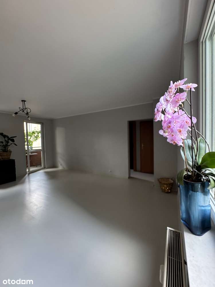 Nowość, Szamarzewskiego 2 pokoje-13