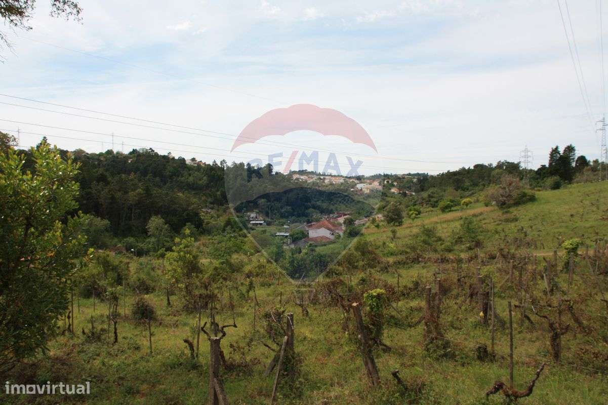 Terreno  para venda - Grande imagem: 4/15