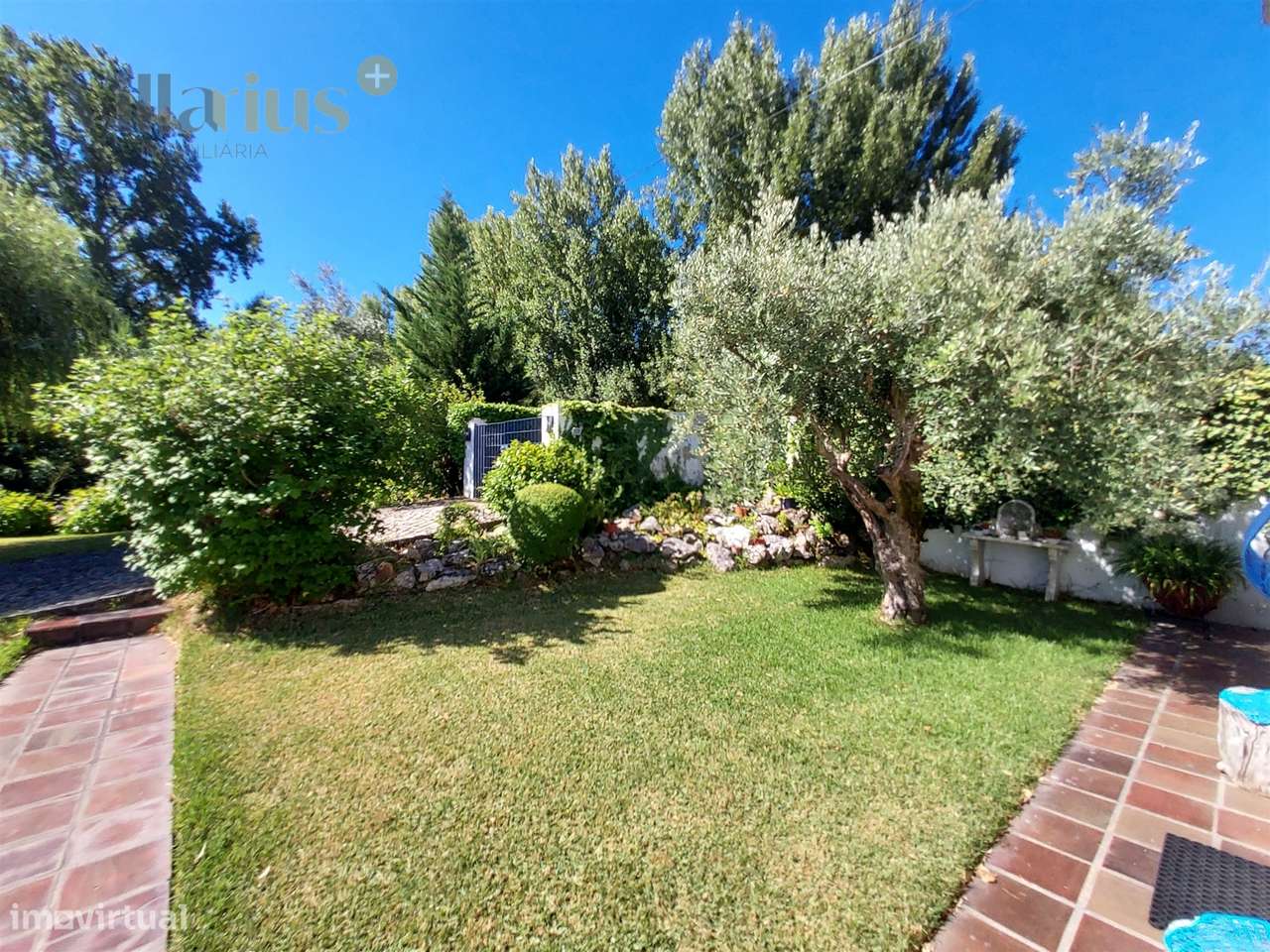 Moradia T4 senhorial c/ terreno entre Tomar e Fátima-8
