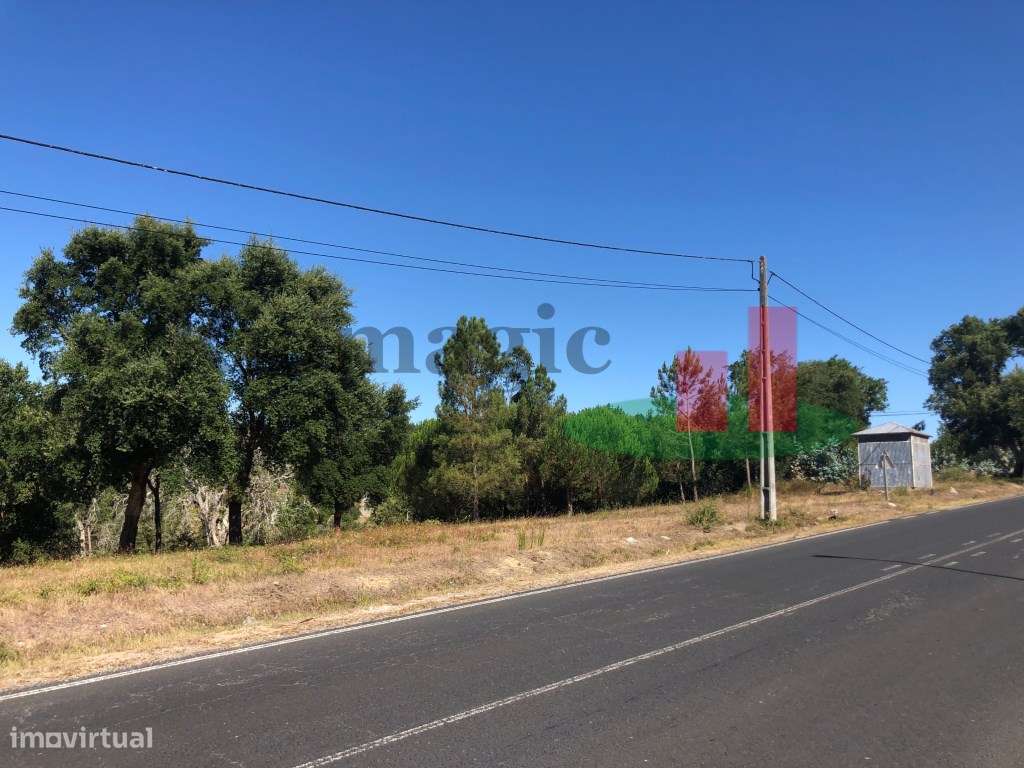 Terreno com Viabilidade de Construção em Asseiceira - Rio Maior***R... - Grande imagem: 5/14