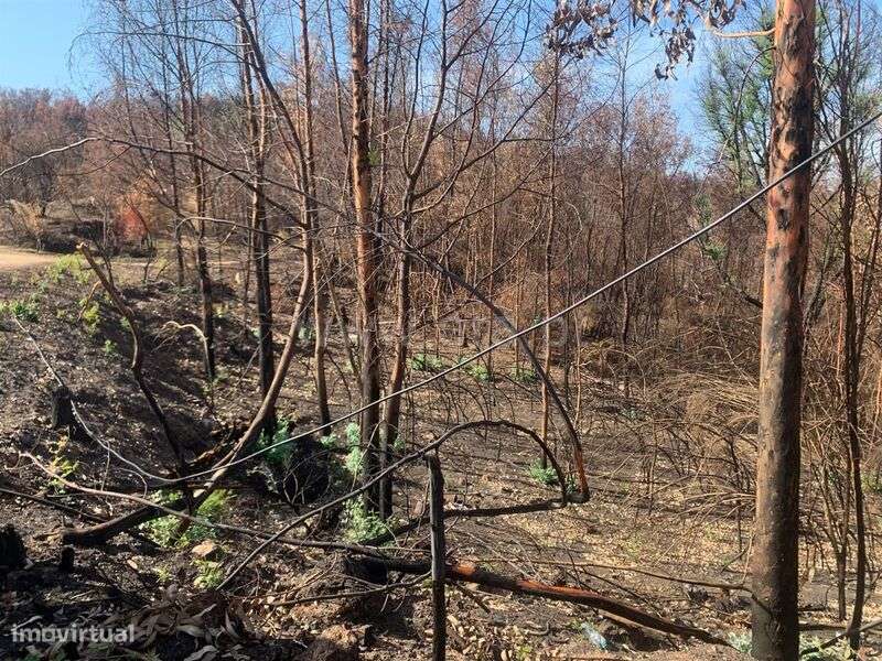 Terreno / Fundão, Freixial - Grande imagem: 5/5