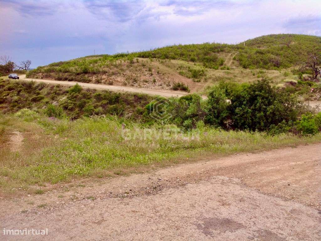 Terreno Rústico com 1480m2, Conceição de Tavira, Algarve - Grande imagem: 4/12