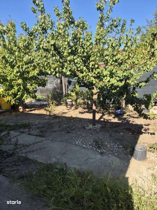 Casa individuala parter, Domnesti, zona Craitei-Foisorului. Investitie-6