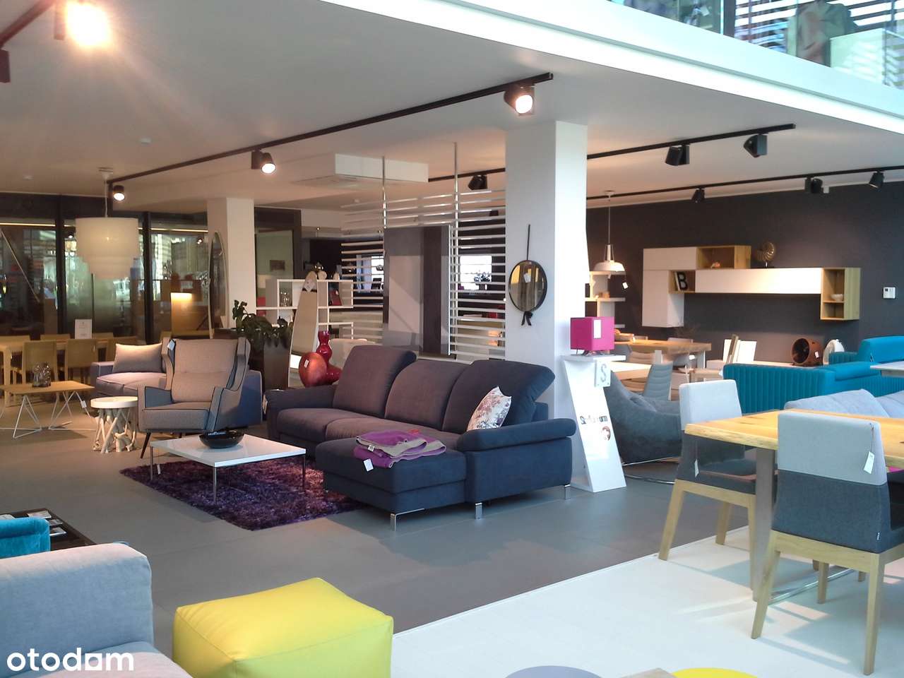 Salon ekspozycyjny w Sopocie obok salonu Porsche - Pełny obrazek: 3/5