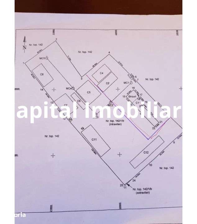Ferma langa Oravita 5600 mp construiti si teren 24281 intravilan - Imagine principală: 2/10