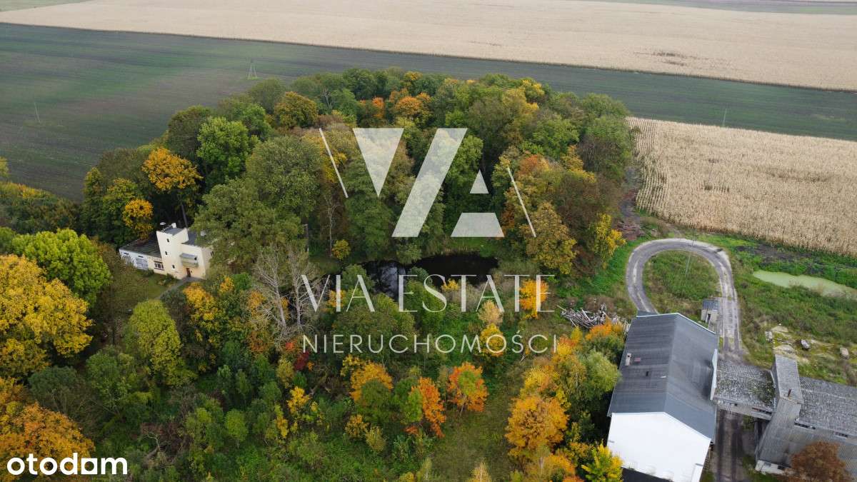 Pałac eklektyczny,zabytkowy park,stawy, do remontu-8