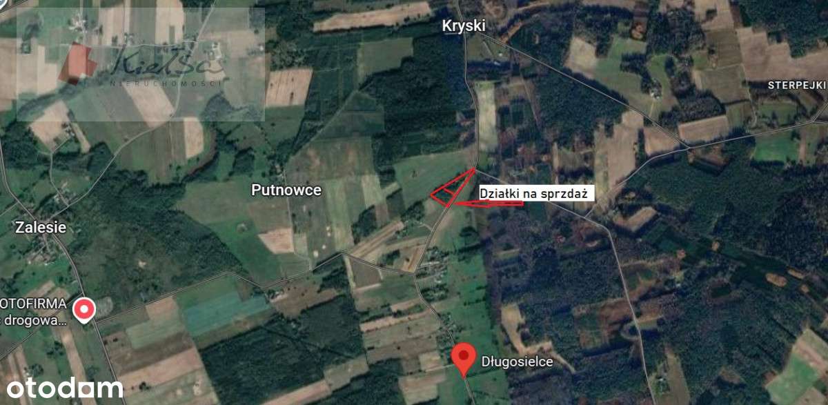 Duża działka budowlana z lasem! - Pełny obrazek: 5/10