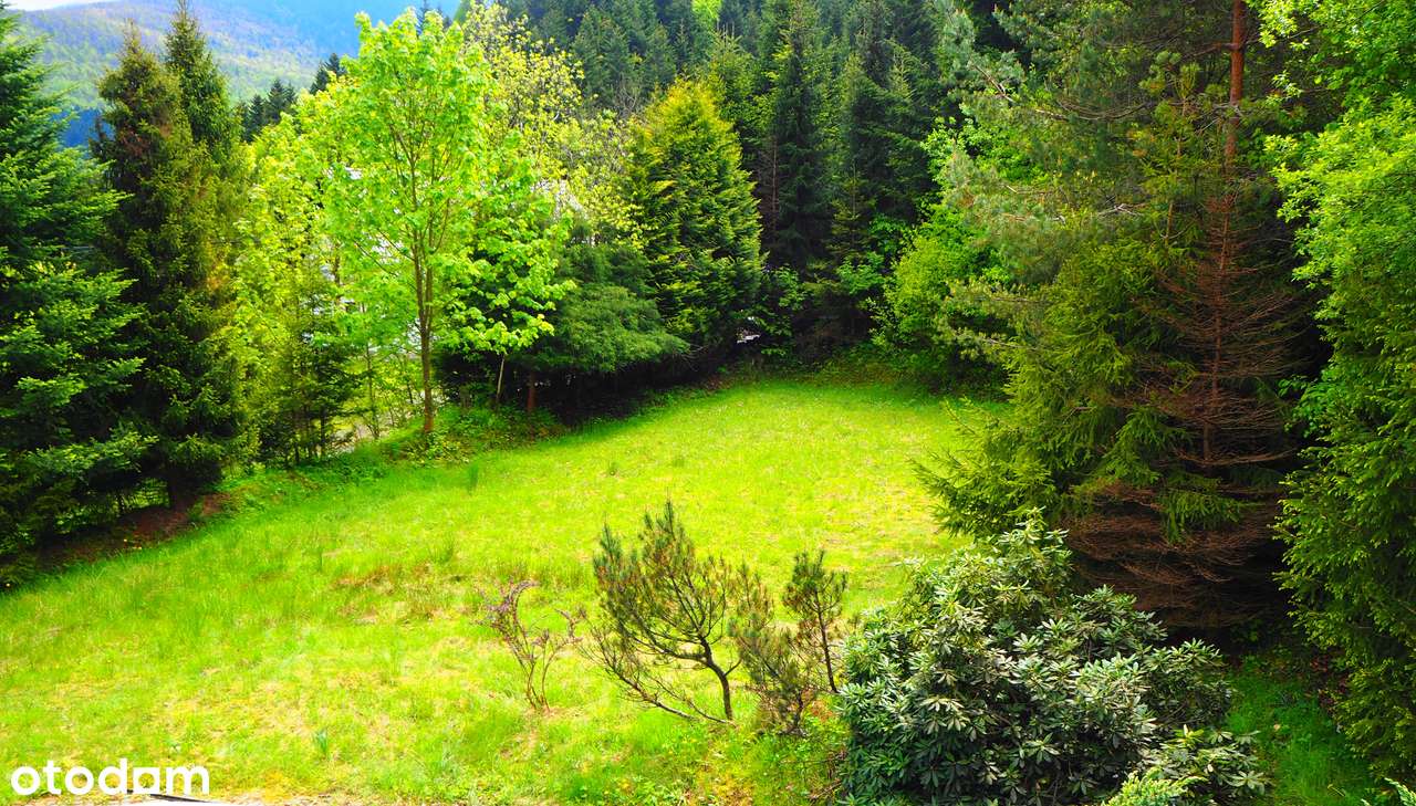 Działka na sprzedaż w malowniczej okolicy - Pełny obrazek: 2/3