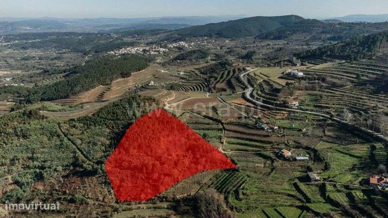 Terreno Rústico / Fundão, Alcaide - Grande imagem: 4/9