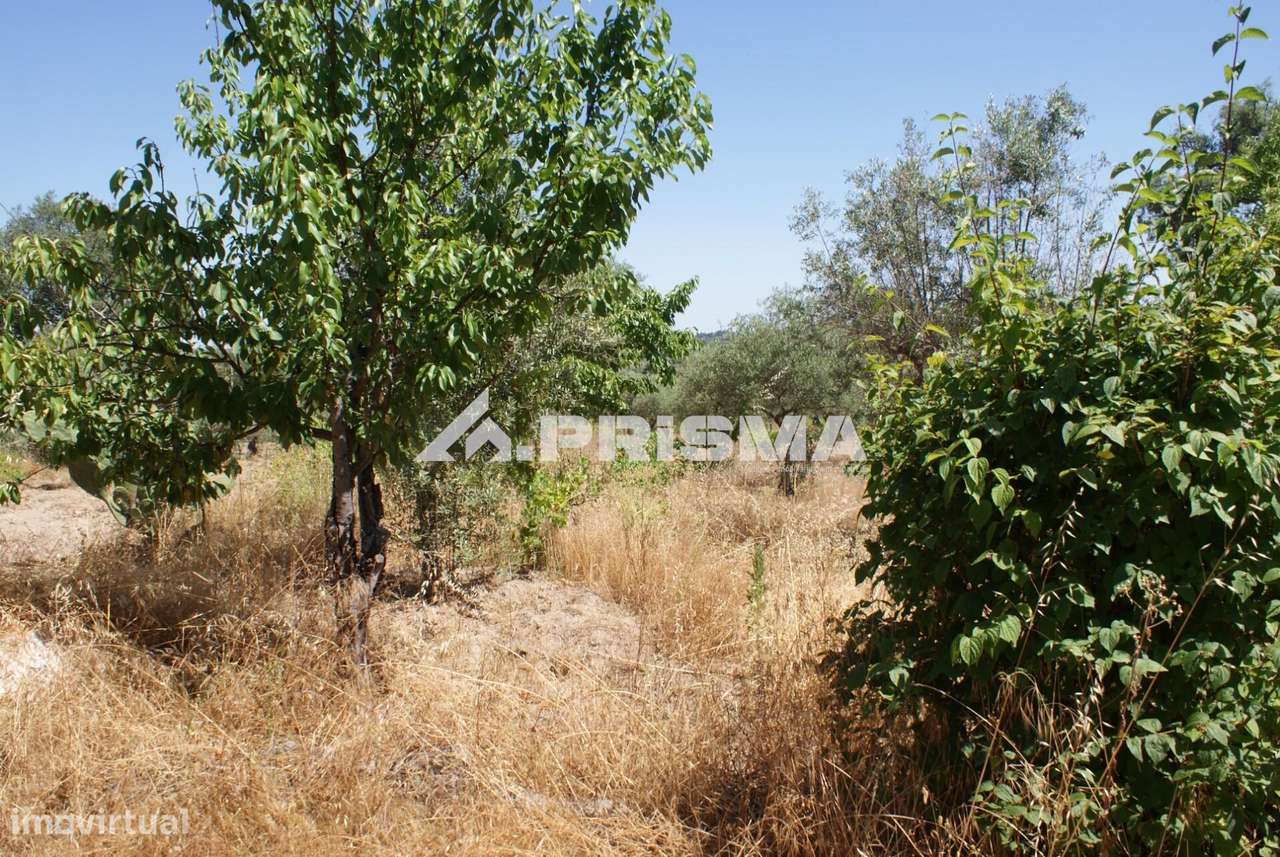 Terreno Rústico para Venda no Ninho do Açor - Grande imagem: 4/43