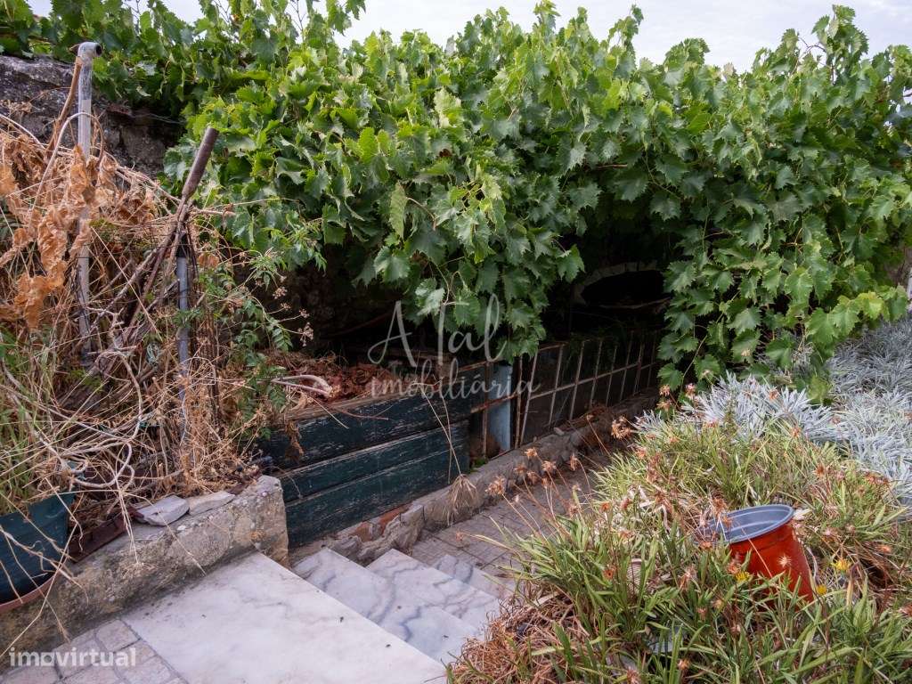 Moradia no Cartaxo-40