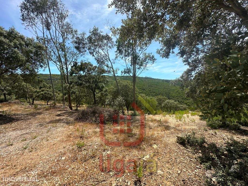 Armazém Industrial/Agropecuário com 9.700 m² de Terreno | Entre Our...-8