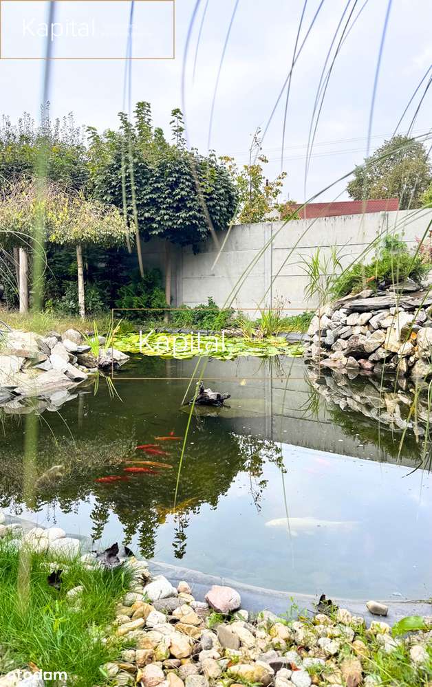 Ogród ze stawkiem, taras, wyposażony dom - Pełny obrazek: 4/17