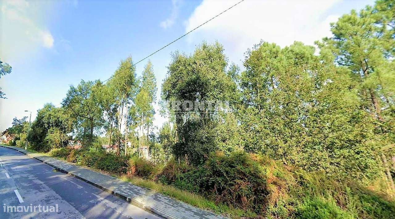 Terreno com 2 900 m2 em Crestuma - Grande imagem: 4/14