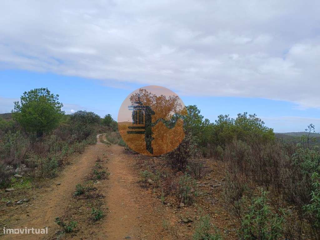 TERRENO COM 60.200 M2 - COM POSSIBILIDADE DE CONSTRUÇÃO - MORADIA -... - Grande imagem: 5/17