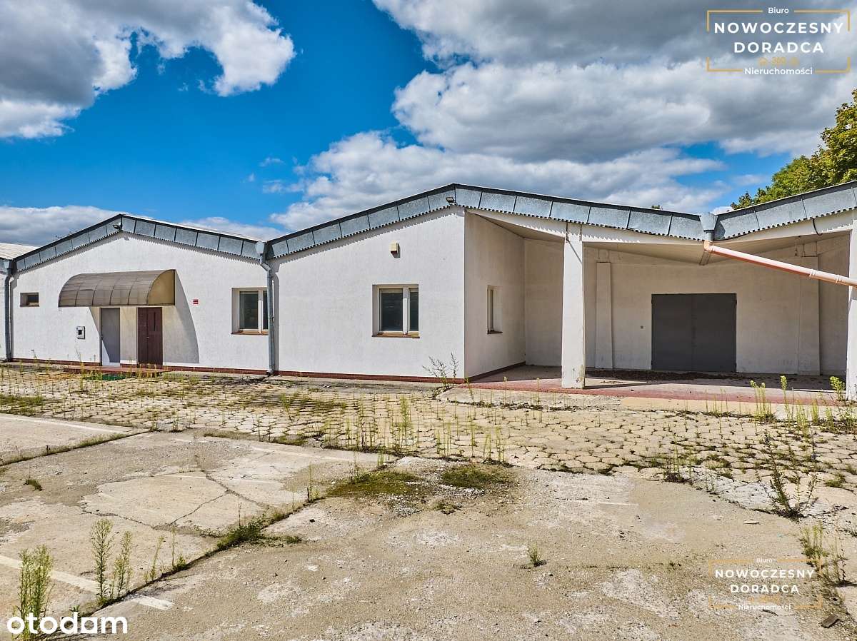 Hala/ Magazyn o powierzchni 1319m2 do WYNAJĘCIA - Pełny obrazek: 2/16