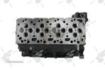 CHIULASA DEZECHIPATA IVECO EUROCARGO MOTOR TECTOR 4 CILINDRI F4AE0481 4893060 NewHolland 2831266 - 1