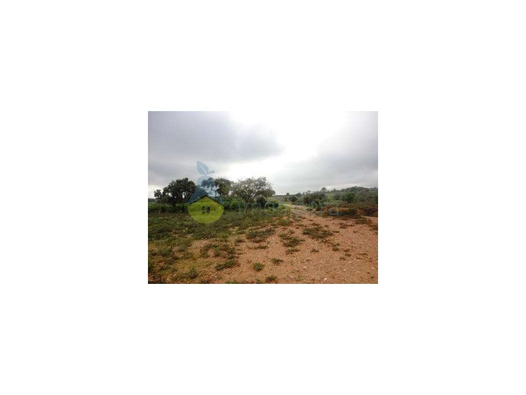 Terreno com 14.800 m2 em Alcantarilha - Grande imagem: 2/5