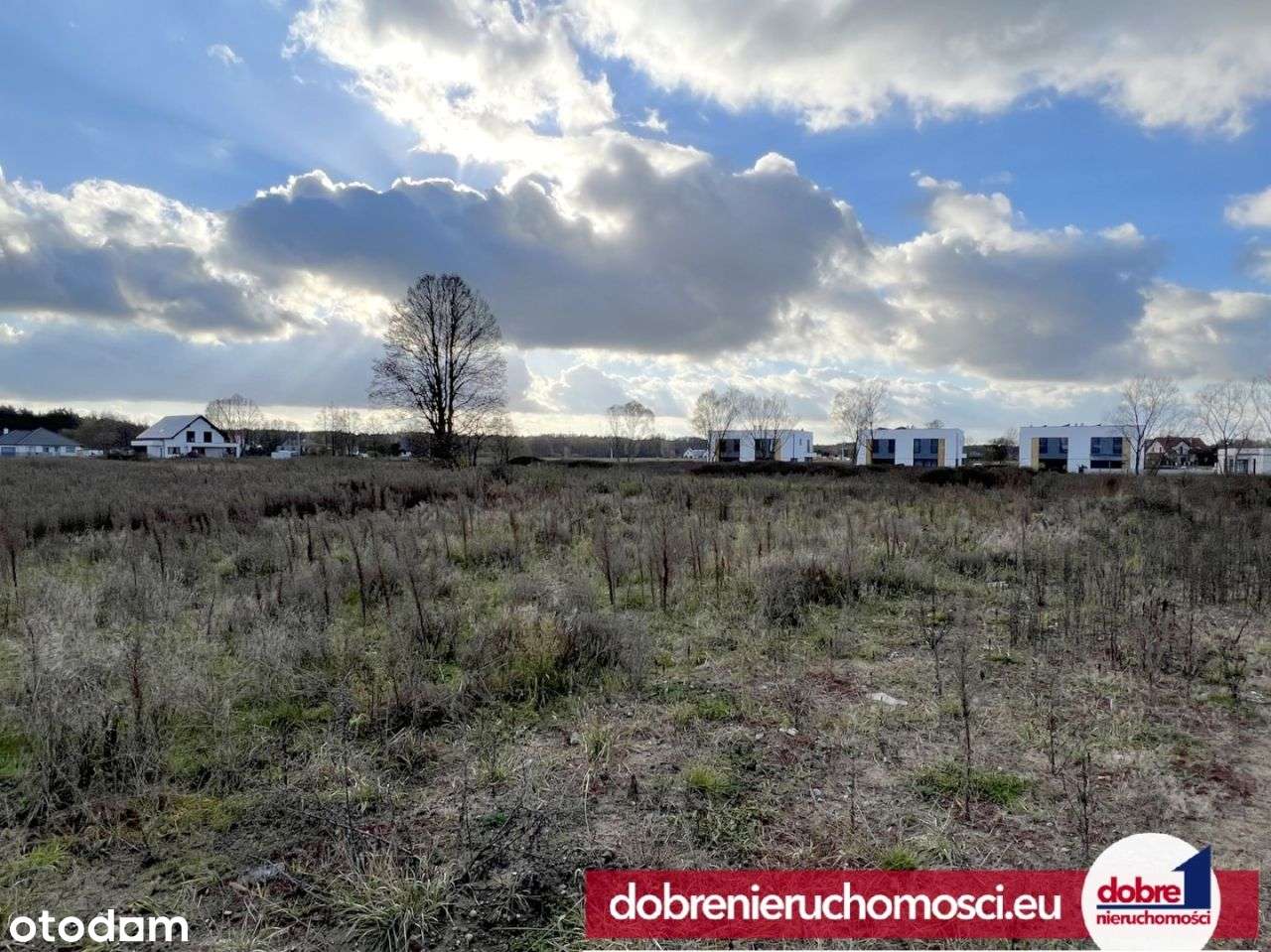 Działka blisko lasu świetne miejsce Ciele - Pełny obrazek: 4/5