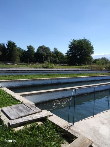 Ferma Piscicola- Teren 10.600 mp+ 3 lacuri+ 10 bazine betonate-1