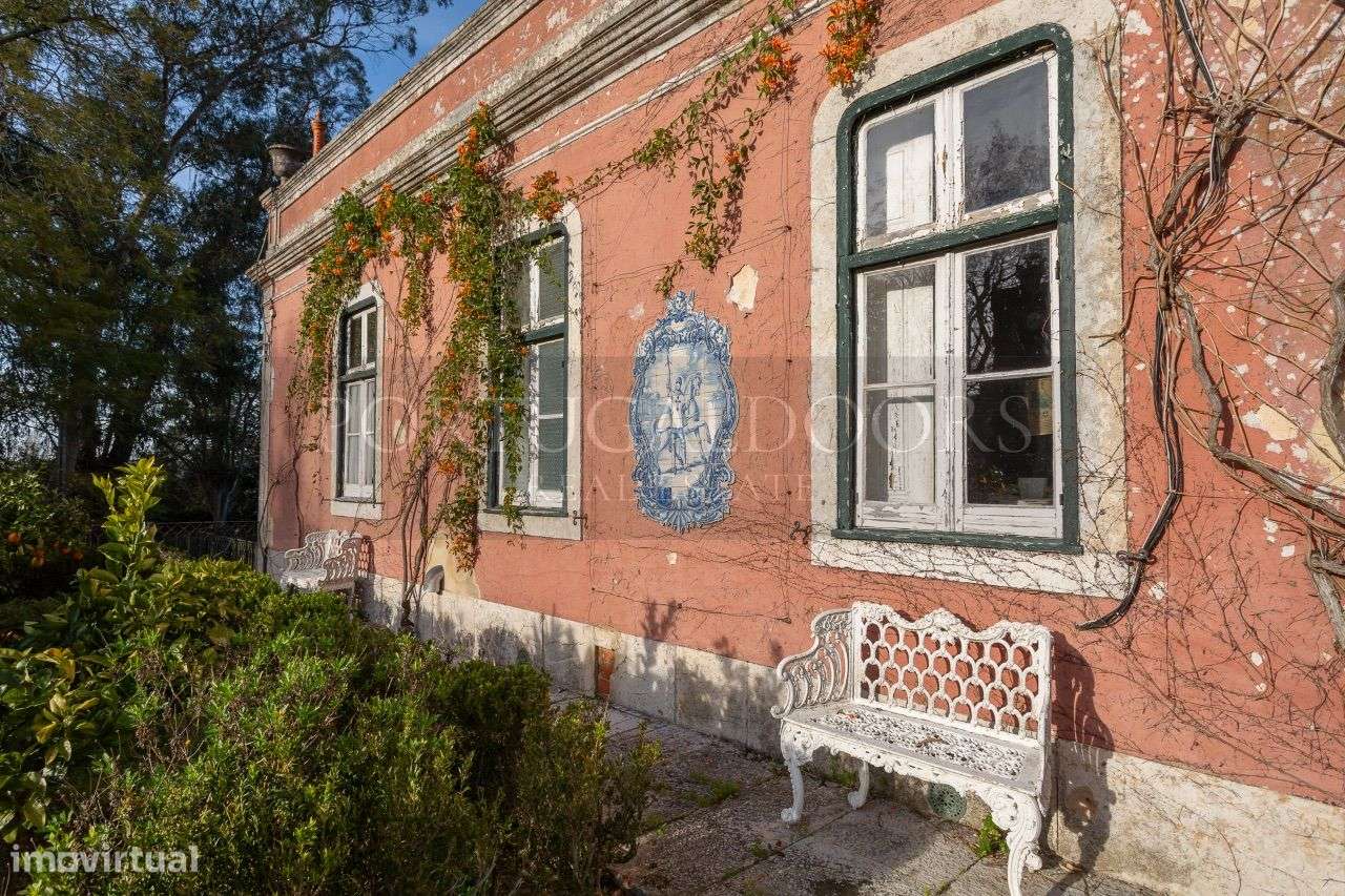 Quinta 5Ha em Azeitão-18