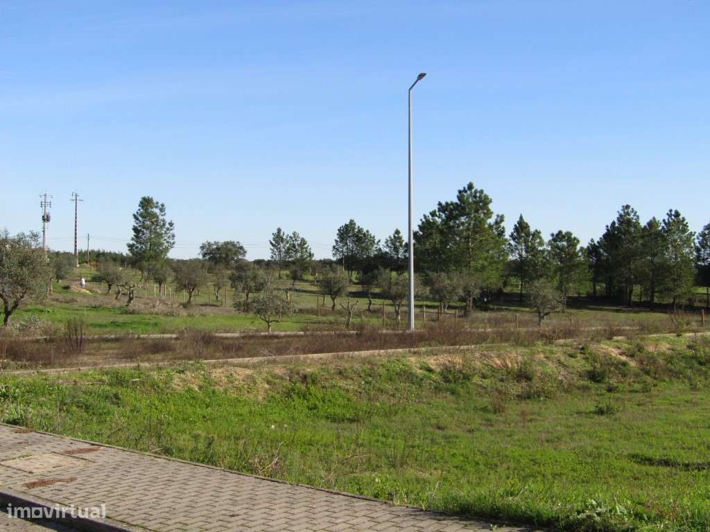 Lote para Construção-6