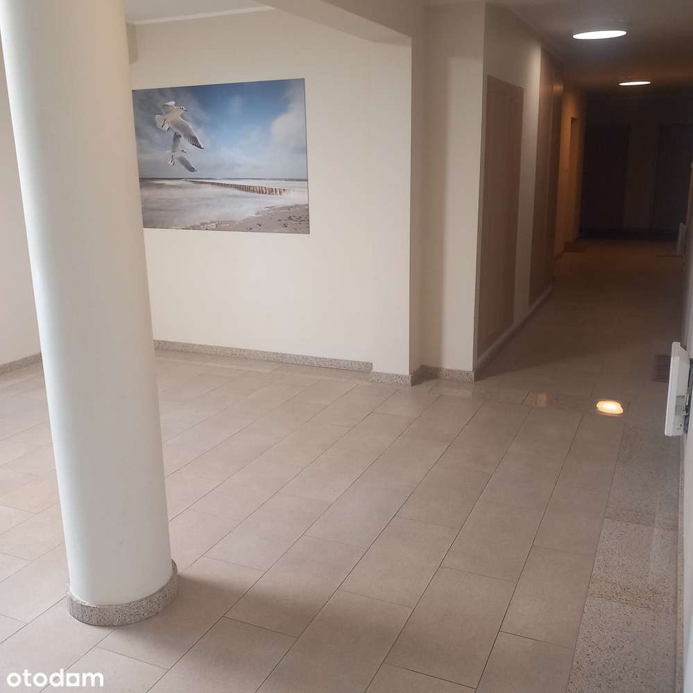 Wyposażone mieszkanie z parkingiem i piwnicą 600 m od plaży, w lesie-11