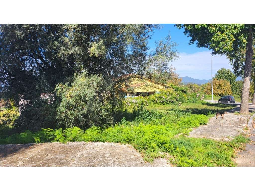 Lote de Terreno no centro da Vila - Grande imagem: 4/5