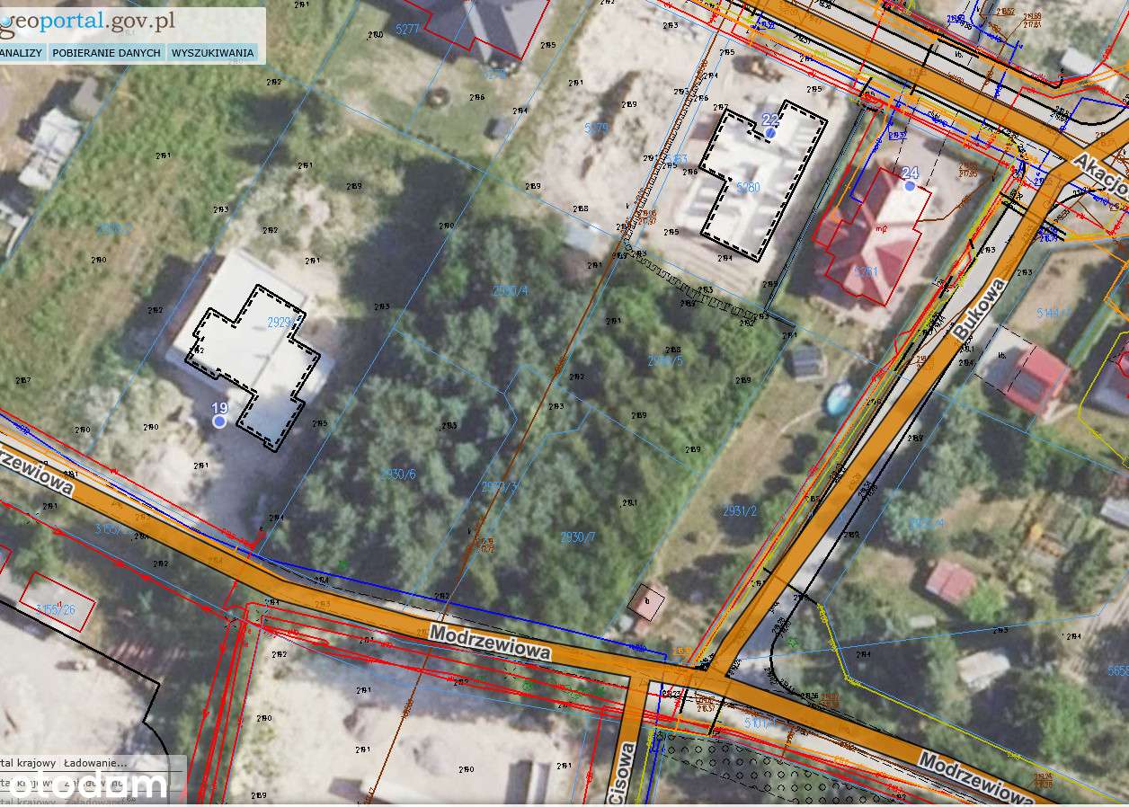 Działki budowane Janów Lubelski ul. Modrzewiowa - Pełny obrazek: 1/5