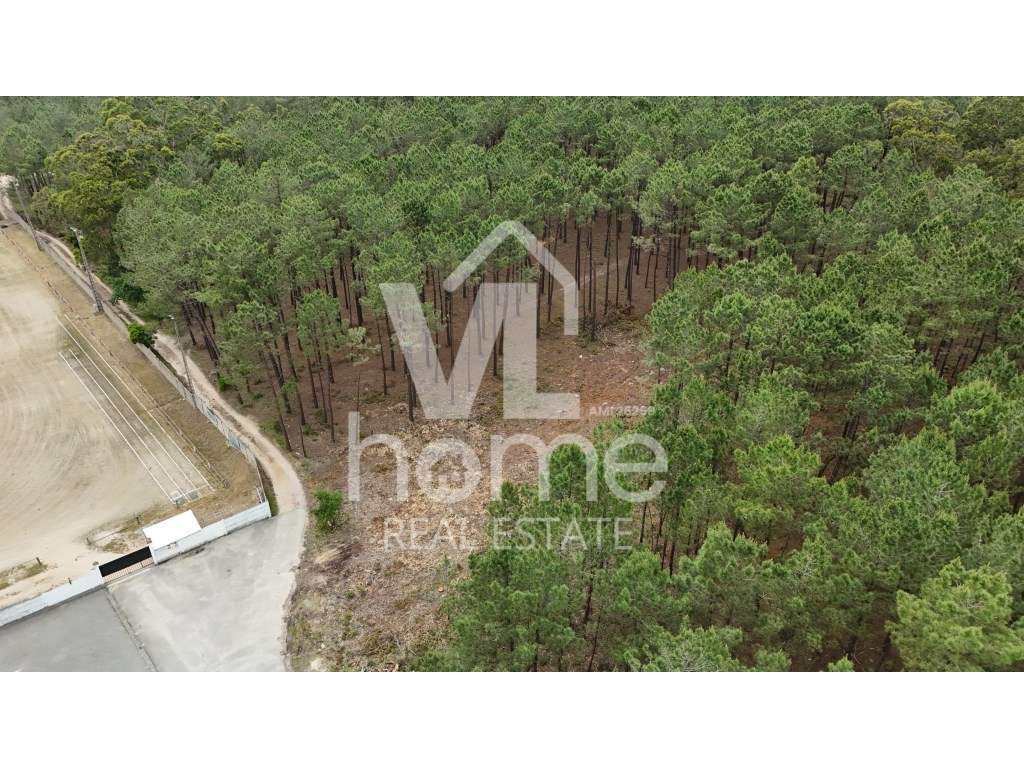 Terreno com Potencial para Moradias - Natureza e Conveniência de Mã...-16