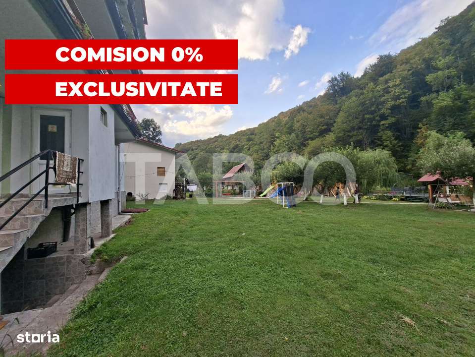 Spatiu de vanzare in Valea Macesului judel Valcea iesire la Lotru - Imagine principală: 3/19