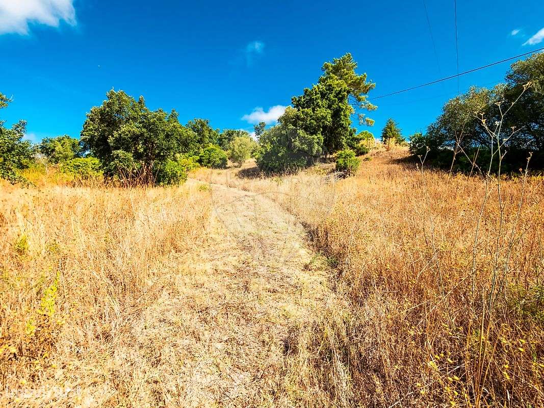 Terreno  para venda - Grande imagem: 5/6