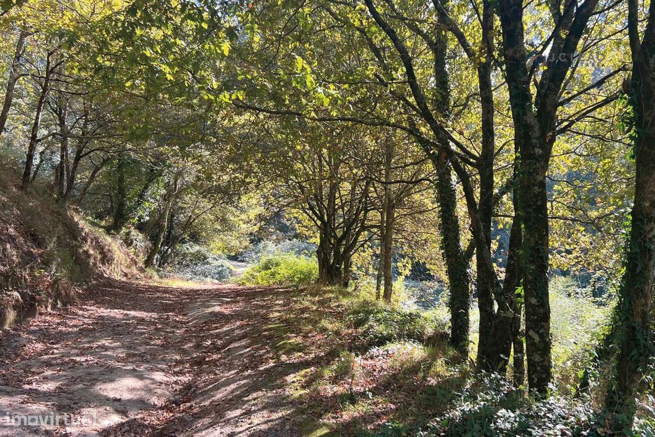 Terreno Agrícola 10.400 m² – Rebordosa, Paredes-10