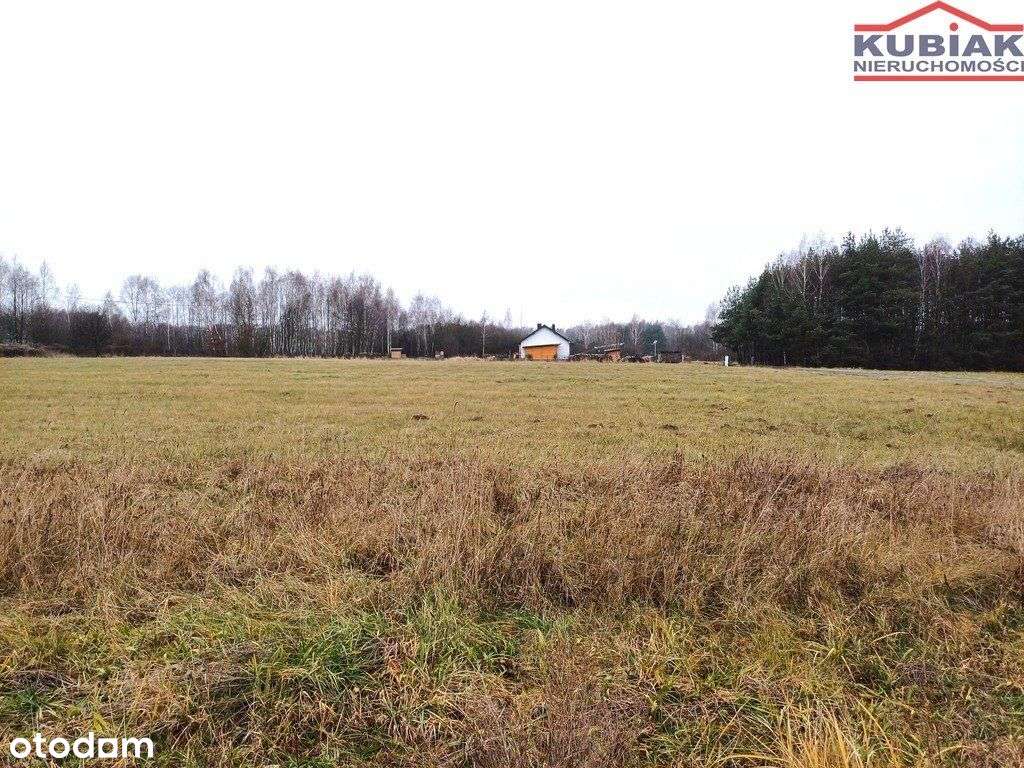 Słubica A bardzo ładna działka budowlana 1304m2 - Pełny obrazek: 5/7