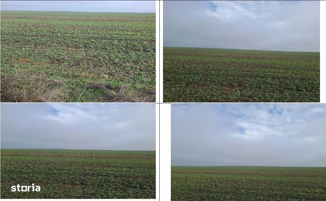 Teren extravilan Orbeasca, ID: R2836912-11