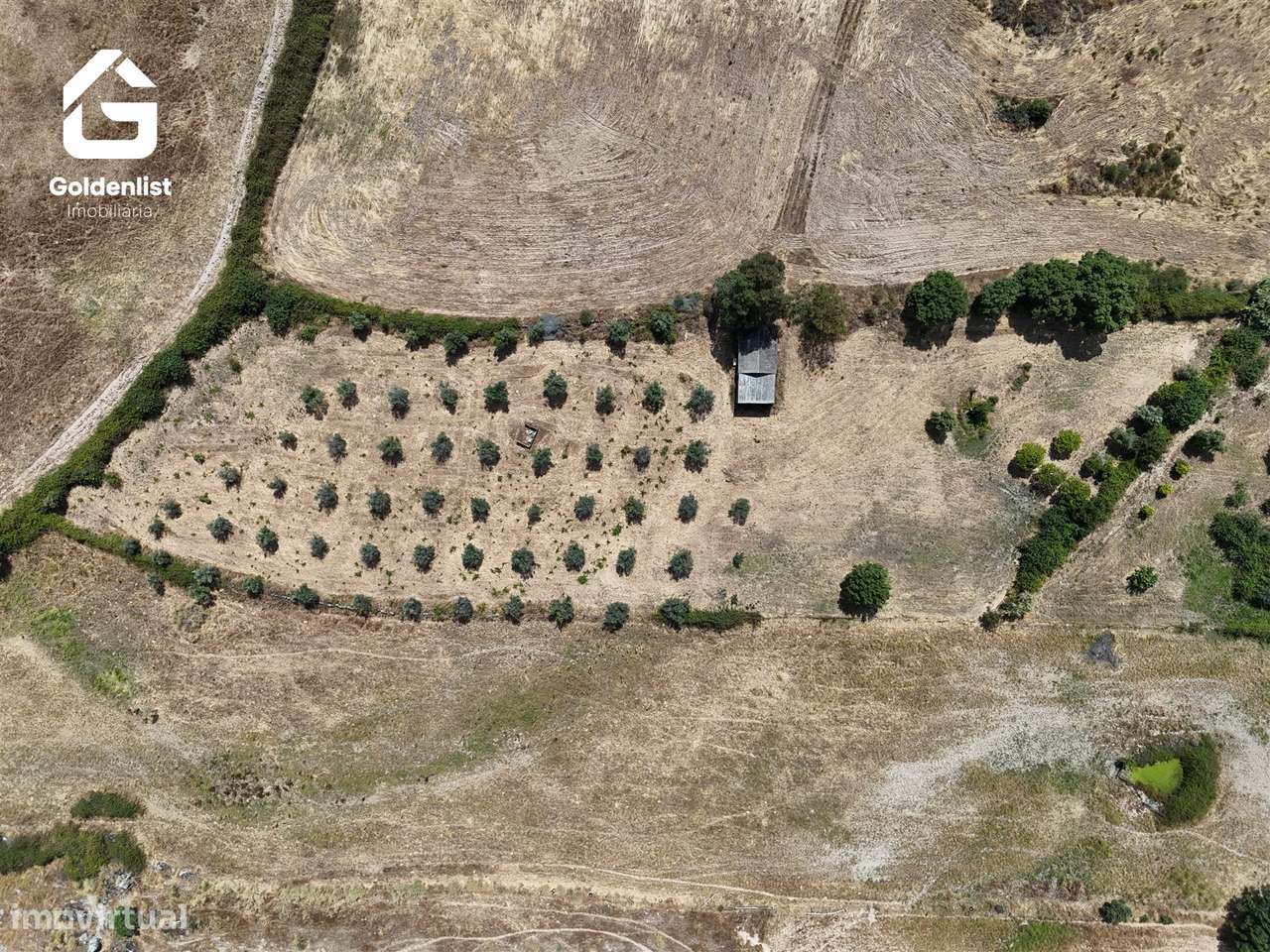 Quintinha  Venda em Escalos de Cima e Lousa,Castelo Branco-4