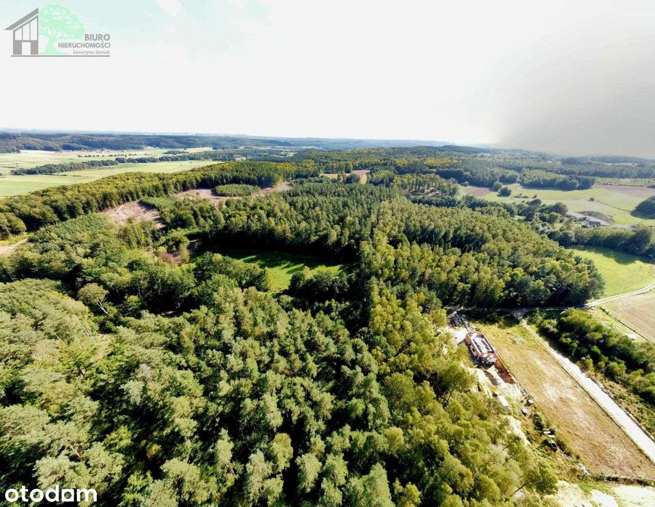 Duża działka siedliskowa 4600 m2 Strzebielino Wyb.-15