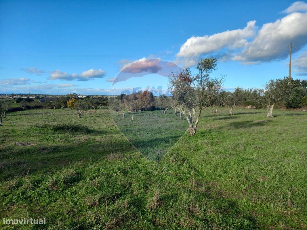 Terreno  para venda - Grande imagem: 1/5