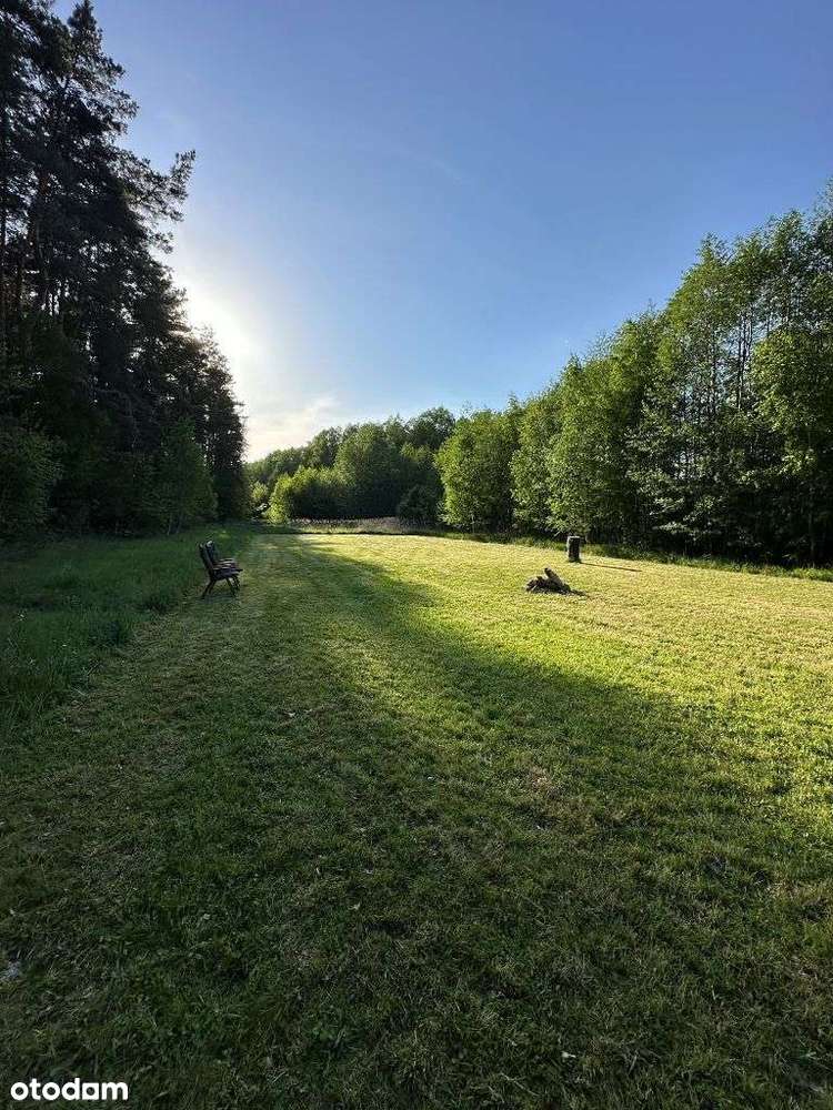 17 300m2  budowlana + las - Mierżączka, garwoliński, mazowieckie, S17 - Pełny obrazek: 4/6