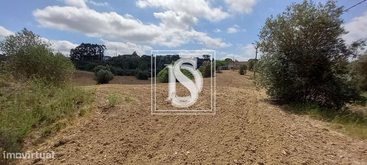 Quinta T2 em UDF de Romeira e Várzea - Grande imagem: 4/29