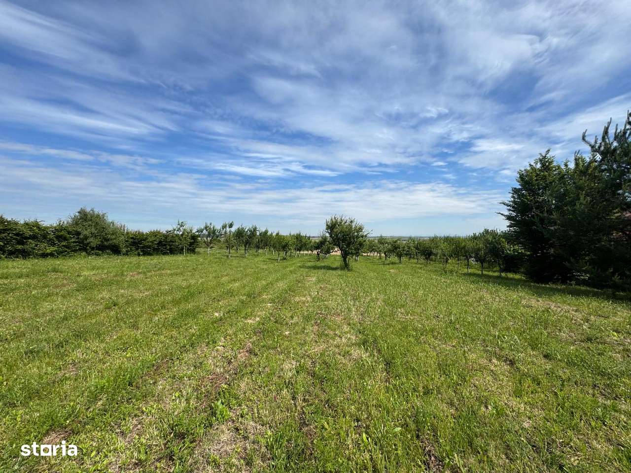 PROPRIETAR intravilan 11.000 mp -Viile Satu Mare | utilitati si CF - Imagine principală: 5/10