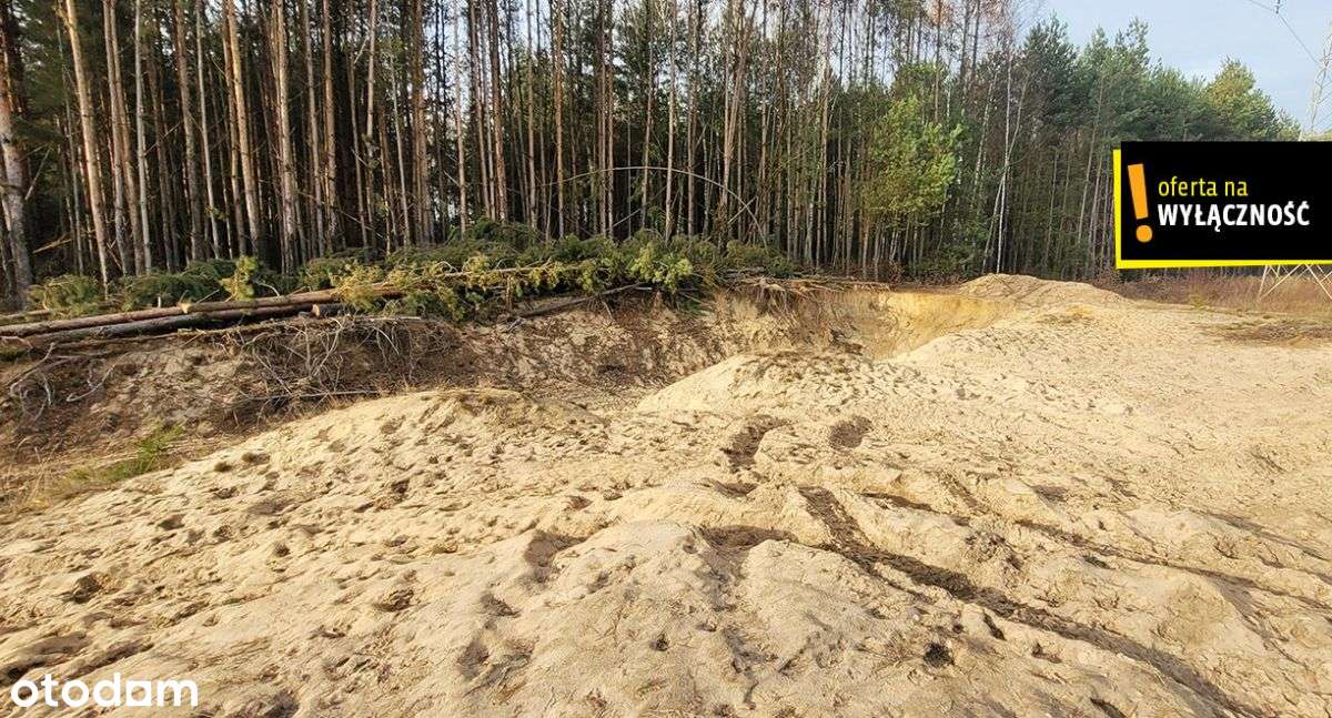 Działka blisko lasu.-10
