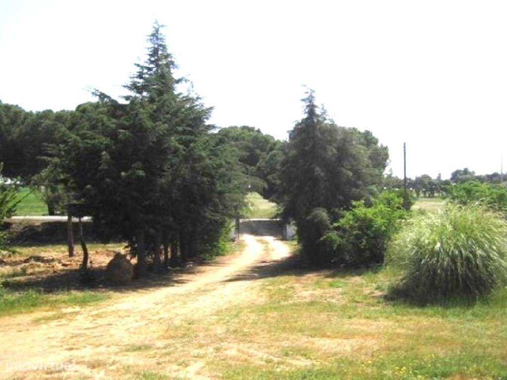 Serpa/Vila Nova de São Bento. Quinta para Venda. - Grande imagem: 5/6